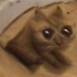 1412039938173.jpg