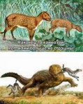 15595700667190.jpg
