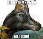 3675914.jpg