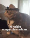 15595526985300.png