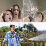 5241013.jpeg
