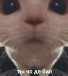 15597134228490.jpg