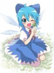 cirno9.jpg