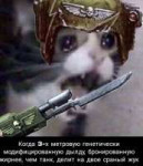 warhammer-40k-Wh-Песочница-фэндомы-приколы-для-лоялистов-53[...].jpeg