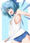 Anime-Cirno-Touhou-Project-Nori-Tamago-4867440.png