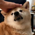 1567681011882.jpg