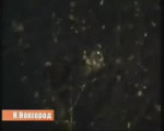 .webm