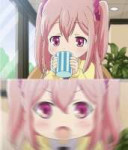 481146.jpeg