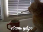 15115895938123.png