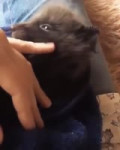 ea2SNGPGteZ6rJ9N.mp4