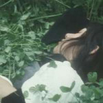 tumblrmk387qpk7o1rji6lvo1540-1534.jpg