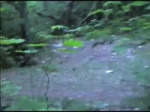 e11af8f0f254847.webm