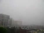 7a346381.webm