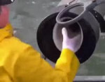 15669089722311.webm