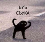 15692163564320.png