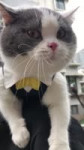 .webm