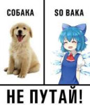 .jpeg