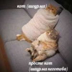 uj8SUMfy0qg.jpg