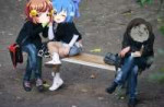 Сырномедуз.jpg