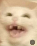 15688115496640.png