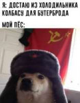 15693575474770.jpg