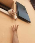 EE5BLmkUYAgFMyf.jfif