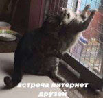 NKDTDnQEEd4.jpg