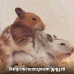 wJTyPFUAeaI.jpg