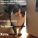 IMG20190731002710.jpg