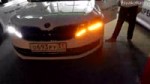 Петушкода.webm