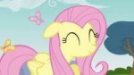 FluttershycutesmileS3E3.png