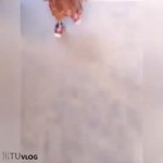 15263268061000.webm