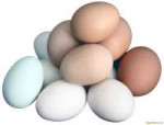 Egg-PNG-image-1024x779.jpg