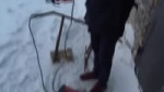 Ща Валеру будут петушить!.webm