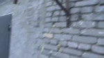 Петушение Валеры.webm