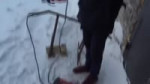 Знакомство Миши и Валеры!.webm