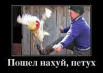 11333686[1].png
