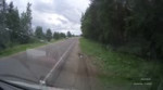 15652745570660.mp4