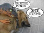 15516031237340.jpg