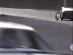 15667347993490.mp4