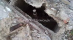 ЩИГРЫ КЛАДБИЩЕ.mp4