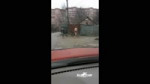 Обливание и кулачный бой.mp4