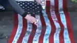 15527463251230.webm