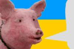 DpCf3G3olsw.jpg