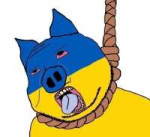 17319096862860.png
