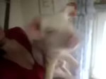 17551184117770.webm