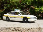 ISPimpala1-vi.jpg