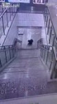 video (4)