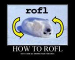 How313874738128