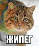 жипег